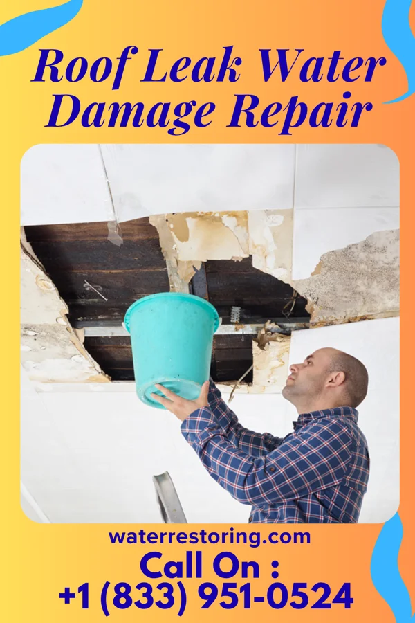 Roof Leak Water Damage Repair in Church Hill, PA
